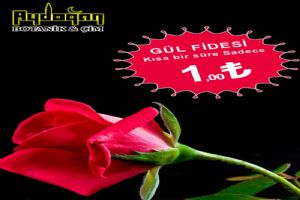 Gl Fidesi